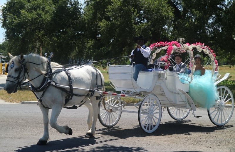Gallery photo 11 of White Horse and Carriage Company