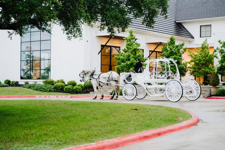 Gallery photo 2 of White Horse and Carriage Company