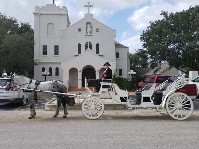 Gallery photo 4 of White Horse and Carriage Company