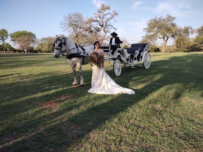 Gallery photo 3 of White Horse and Carriage Company