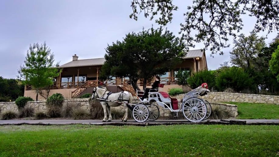 Gallery photo 13 of White Horse and Carriage Company