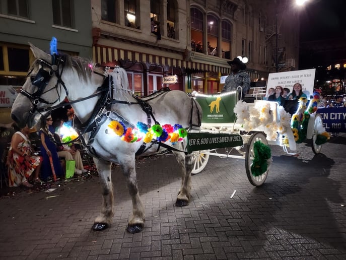 Gallery photo 15 of White Horse and Carriage Company