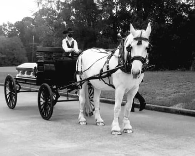 Gallery photo 23 of White Horse and Carriage Company