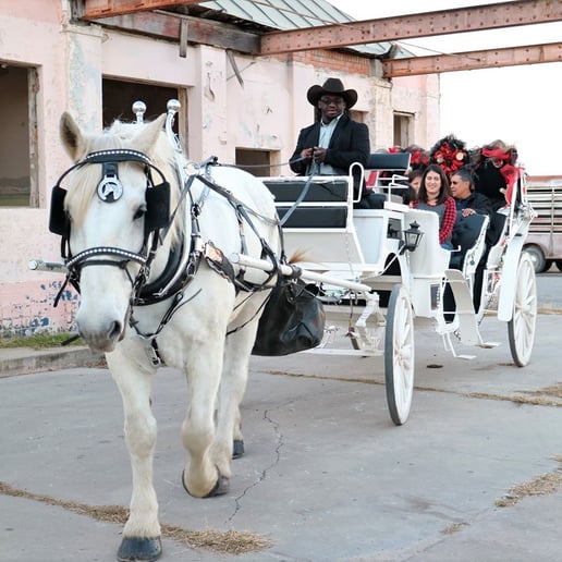Gallery photo 16 of White Horse and Carriage Company