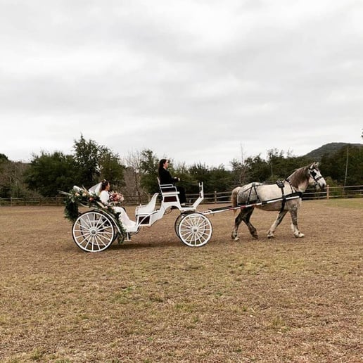 Gallery photo 20 of White Horse and Carriage Company