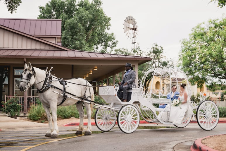 Gallery photo 24 of White Horse and Carriage Company