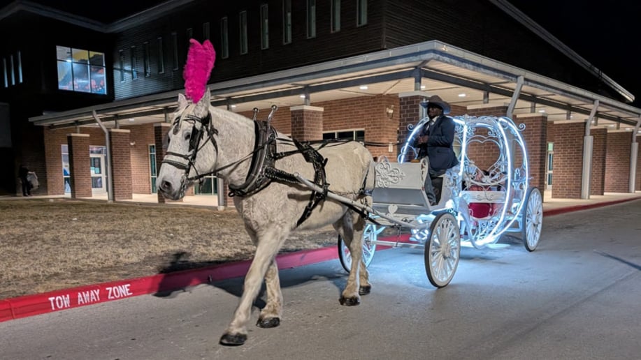 Gallery photo 3 of White Horse and Carriage Company