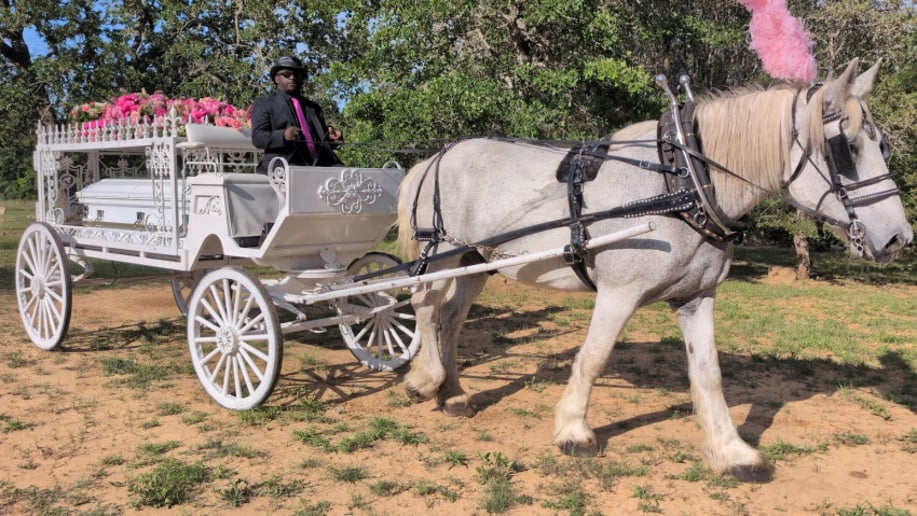 Gallery photo 22 of White Horse and Carriage Company