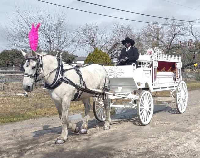 Gallery photo 23 of White Horse and Carriage Company