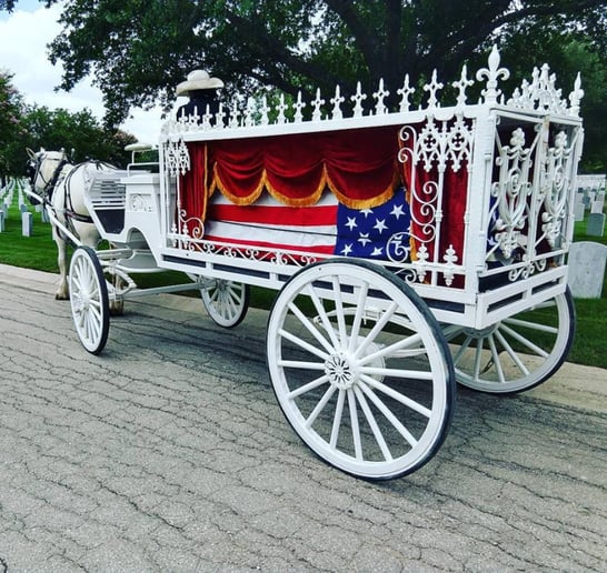 Gallery photo 24 of White Horse and Carriage Company