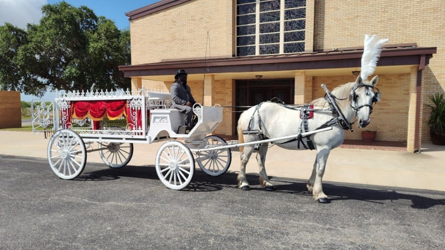 Gallery photo 25 of White Horse and Carriage Company