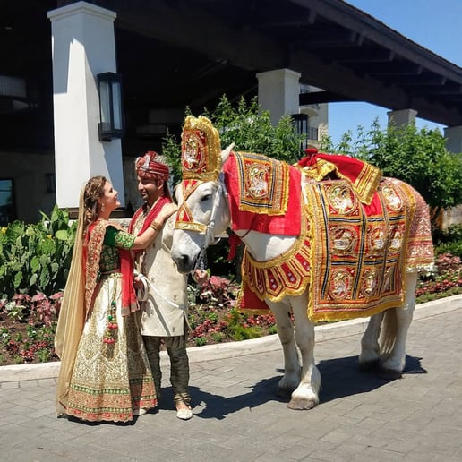 Gallery photo 5 of White Horse and Carriage Company