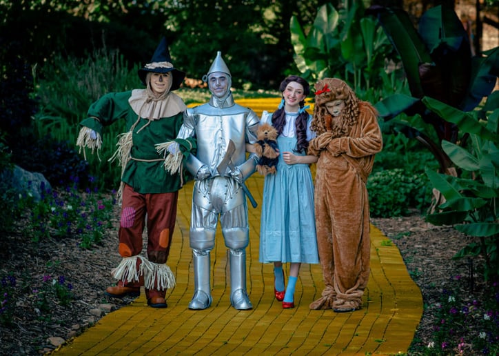 Gallery photo 2 of White Knight Entertainment Co