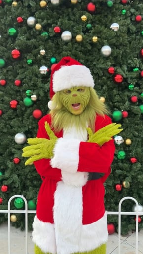 Gallery photo 1 of Wholiday Cheer LLC