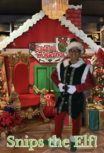 Gallery photo 2 of Wholiday Cheer LLC