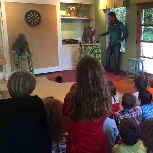 Gallery photo 3 of Wild About Monkeys!