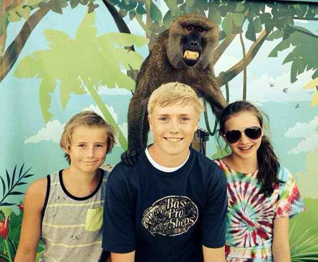 Gallery photo 5 of Wild About Monkeys!