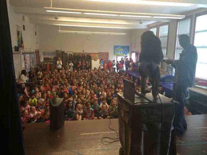 Gallery photo 4 of Wild About Monkeys!