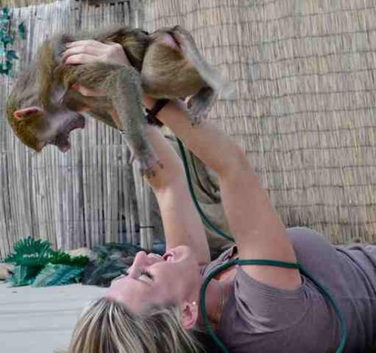 Gallery photo 7 of Wild About Monkeys!