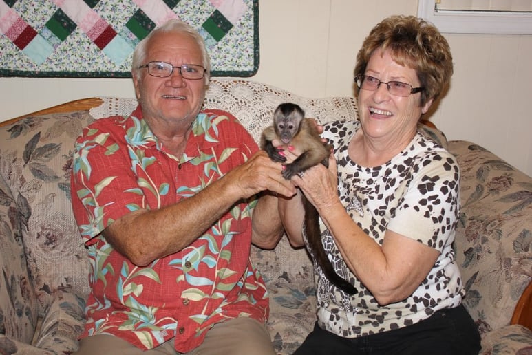Gallery photo 18 of Wild About Monkeys!