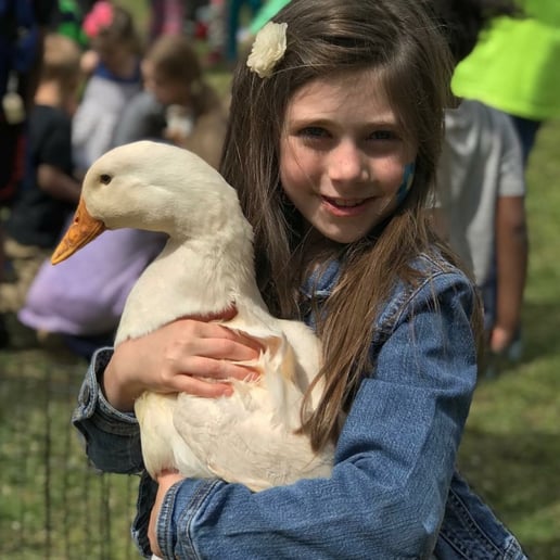 Gallery photo 3 of Wildlife Critters Mobile Petting Zoo