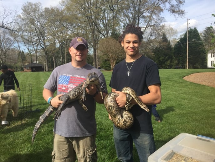 Gallery photo 4 of Wildlife Critters Mobile Petting Zoo
