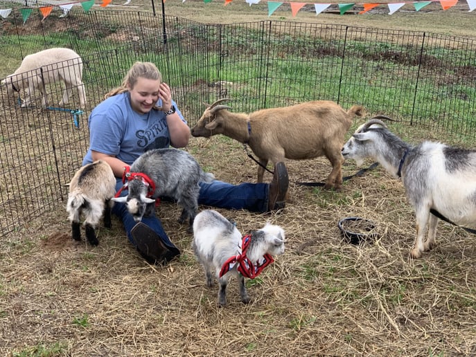 Gallery photo 10 of Wildlife Critters Mobile Petting Zoo