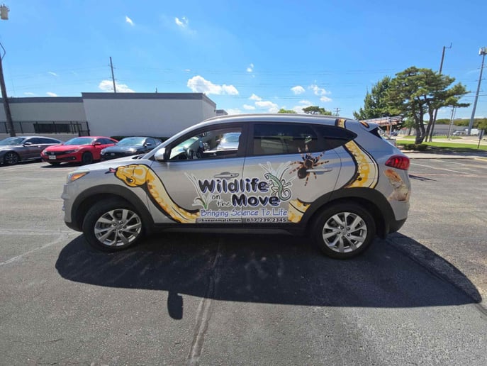 Gallery photo 3 of Wildlife On The Move