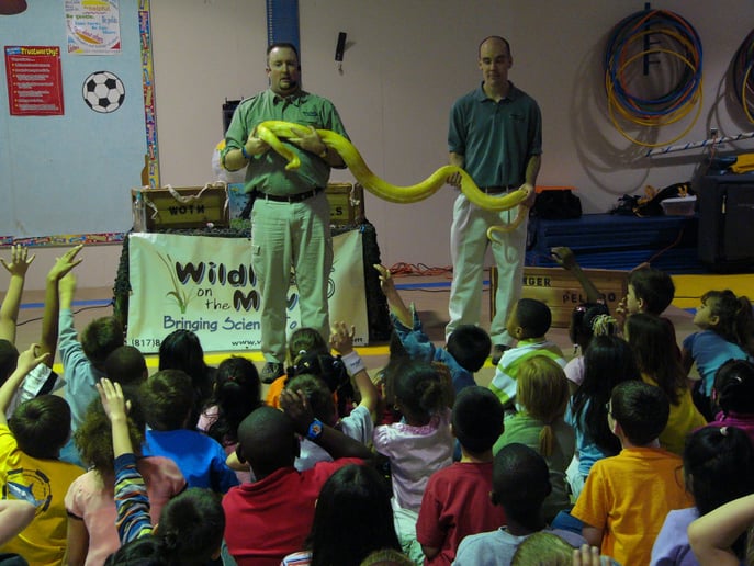 Gallery photo 25 of Wildlife On The Move