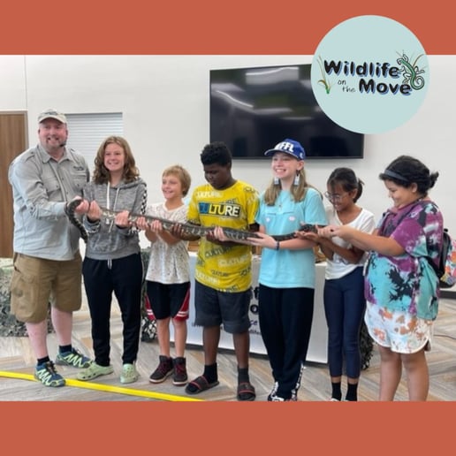 Gallery photo 27 of Wildlife On The Move