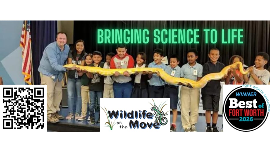 Gallery photo 1 of Wildlife On The Move