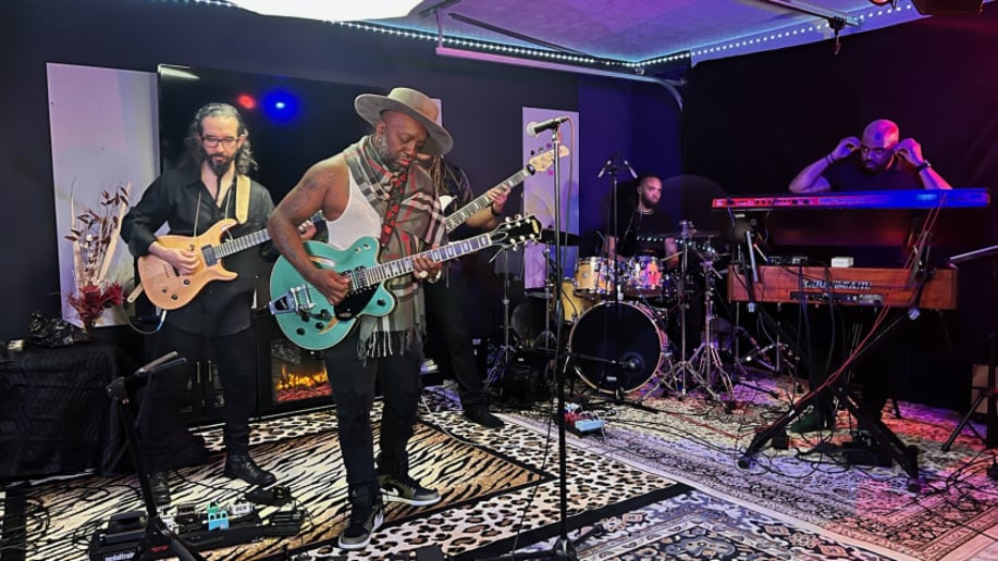 Gallery photo 4 of Wildmann & The Funkysoul Band