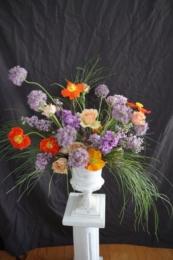 Gallery photo 5 of Williams and Whimsy