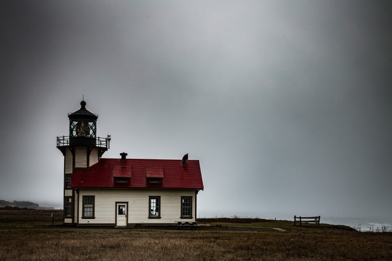 Gallery photo 5 of Willow Solow Photography