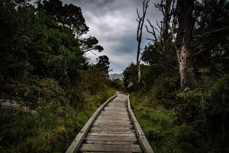 Gallery photo 6 of Willow Solow Photography