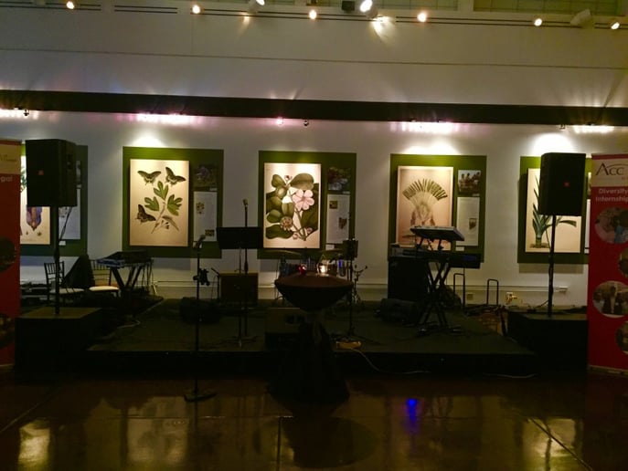 Gallery photo 2 of Wilsons Sound LLC
