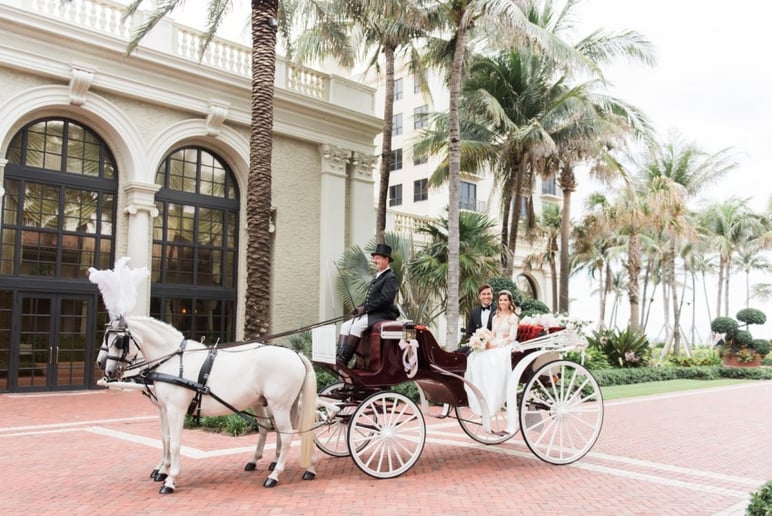 Gallery photo 1 of Wind Chase Farm Horse & Carriage