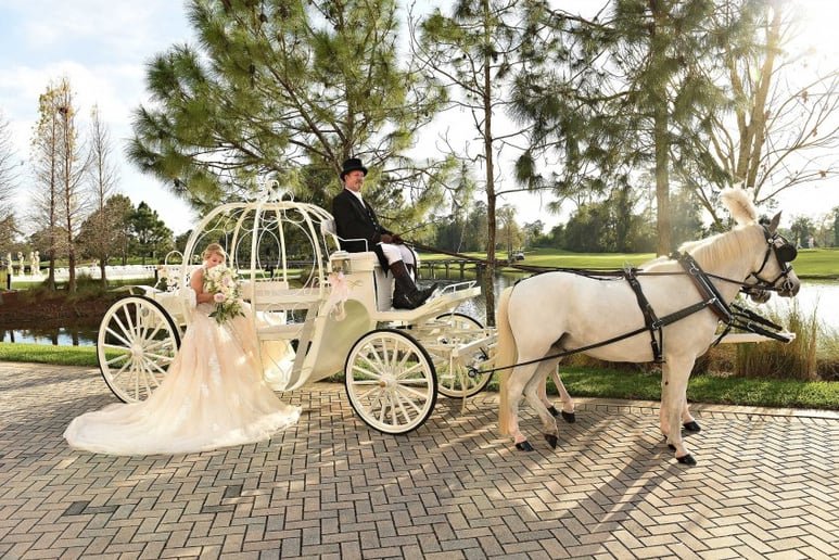 Gallery photo 4 of Wind Chase Farm Horse & Carriage