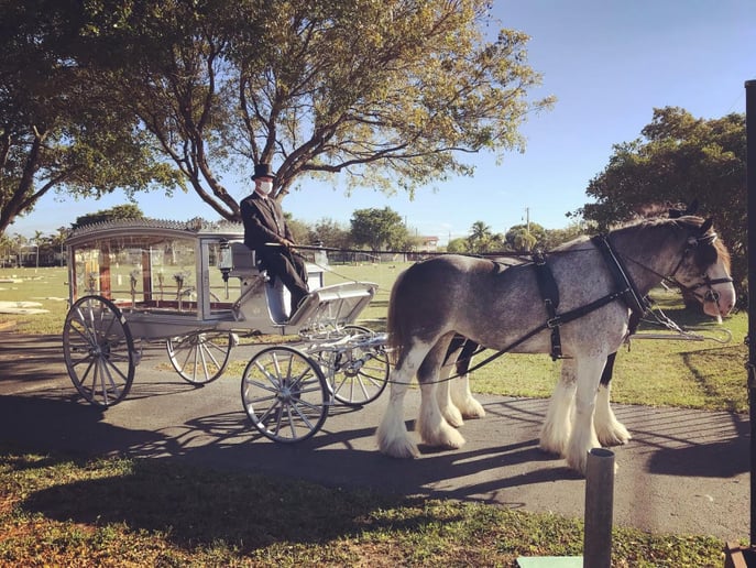 Gallery photo 3 of Wind Chase Farm Horse & Carriage