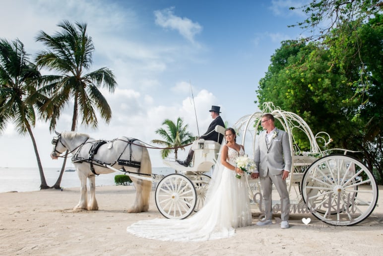 Gallery photo 2 of Wind Chase Farm Horse & Carriage