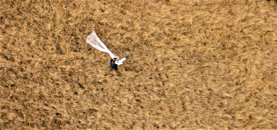Gallery photo 4 of Wind Rose Films