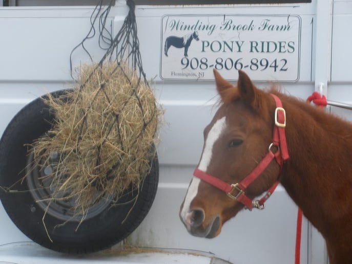 Gallery photo 10 of Winding Brook Farm