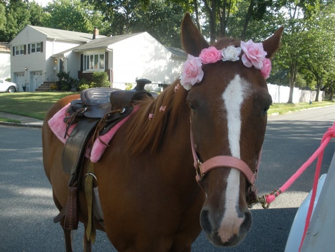 Gallery photo 2 of Winding Brook Farm