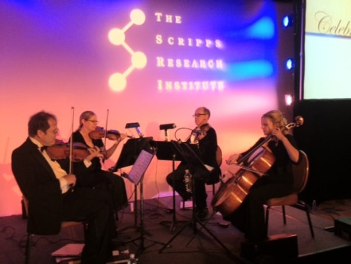 Gallery photo 3 of Windwild String Quartet