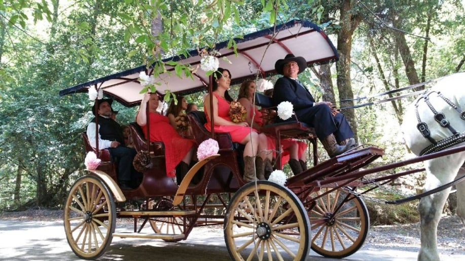 Gallery photo 3 of Wine Country Wedding Carriages