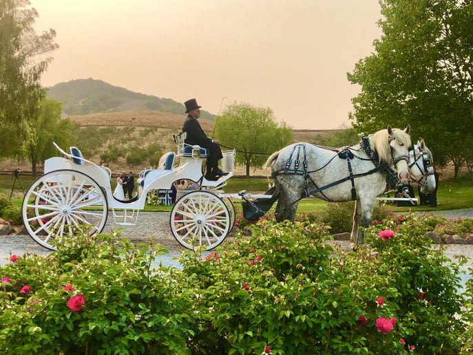 Gallery photo 1 of Wine Country Wedding Carriages
