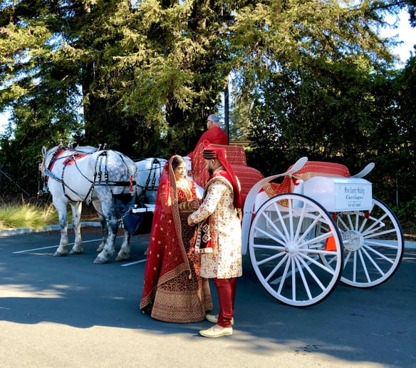 Gallery photo 4 of Wine Country Wedding Carriages