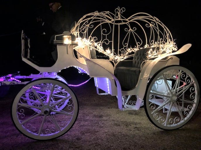 Gallery photo 5 of Wine Country Wedding Carriages