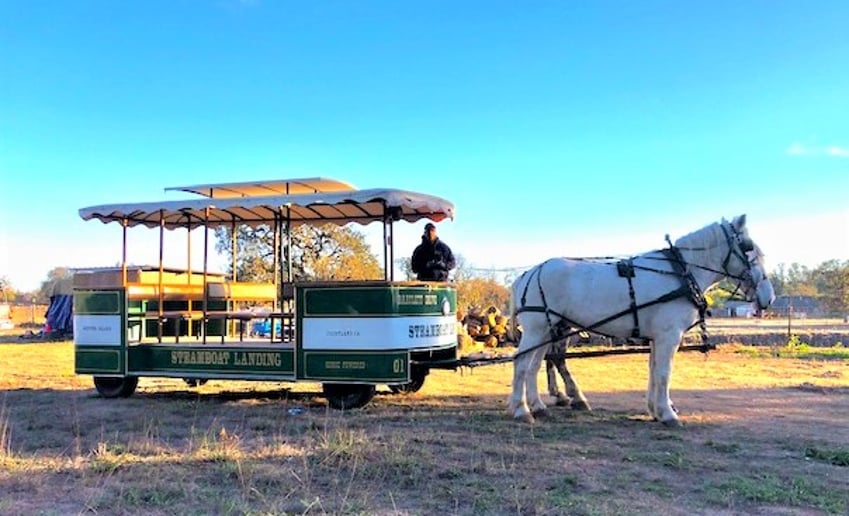 Gallery photo 6 of Wine Country Wedding Carriages