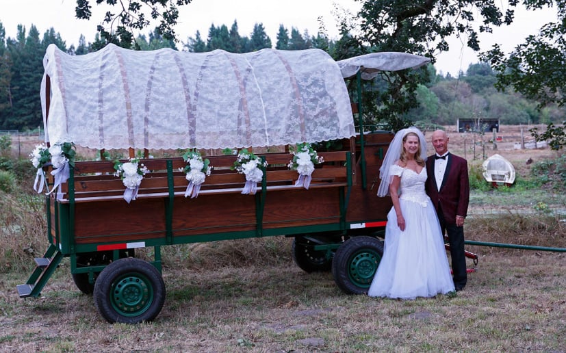 Gallery photo 7 of Wine Country Wedding Carriages